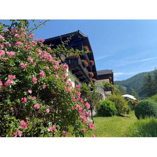 Pension & Appartements Ronacherhof -Mountain Hideaway Slopeside