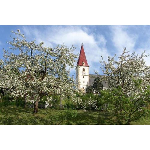 Pension Kirchleitn