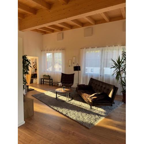 Penthouse 17 Vils