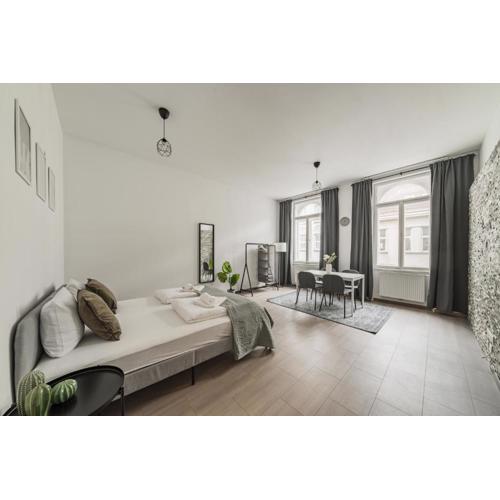 perfect apartment in vienna