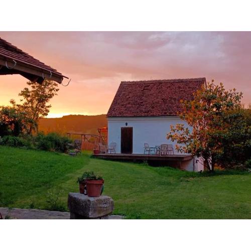 Pferdehof in der Oststeiermark