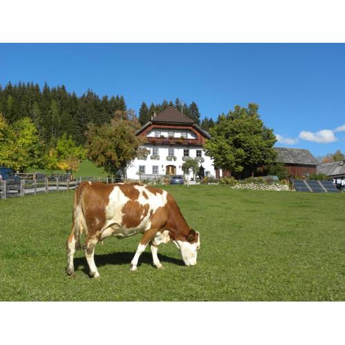 Polzhof