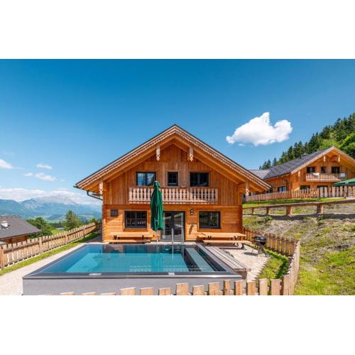 Poolchalet Dachsteinblick
