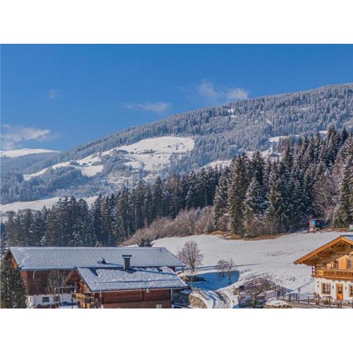Premium Apartment Almrausch