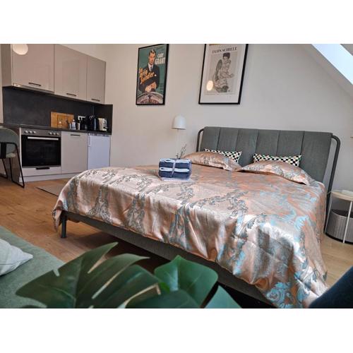 Private Studio Central Vienna