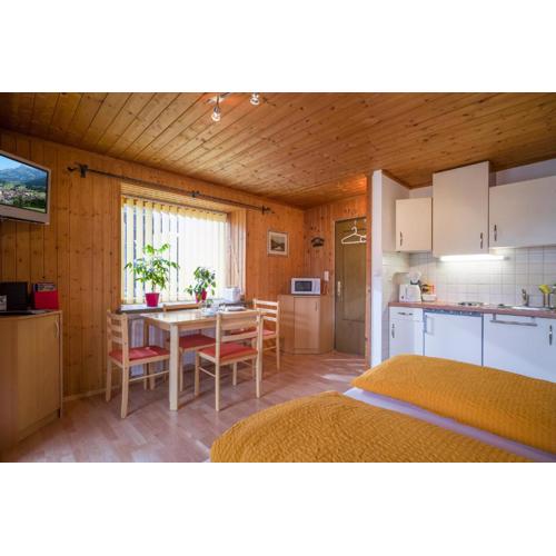 Rene zentrales Studio Appartement - by NV-Appartements