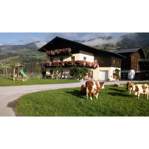 Rieserhof/Fam. Meißnitzer