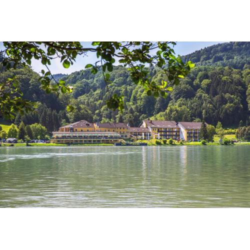 Riverresort Donauschlinge