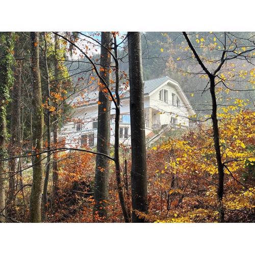 Ruhepol in den Voralpen