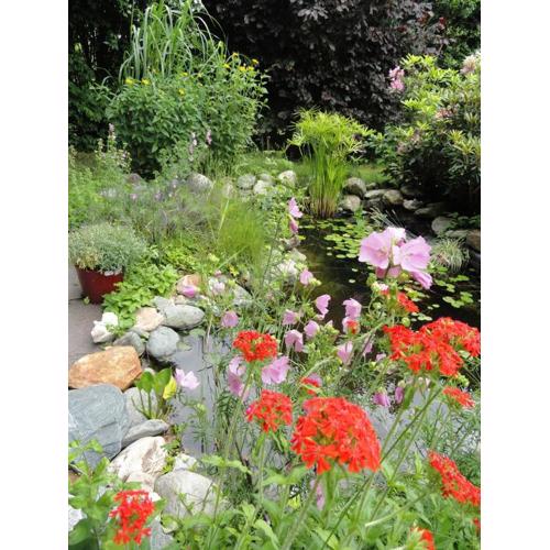 Ruhige Wohnung mit schönem Eigengarten in Seeboden am Millstättersee