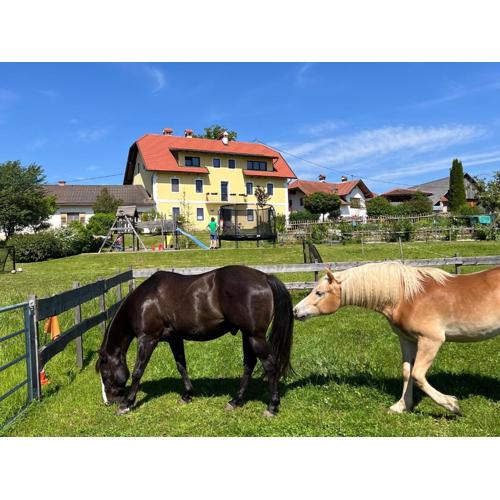 Rutarhof