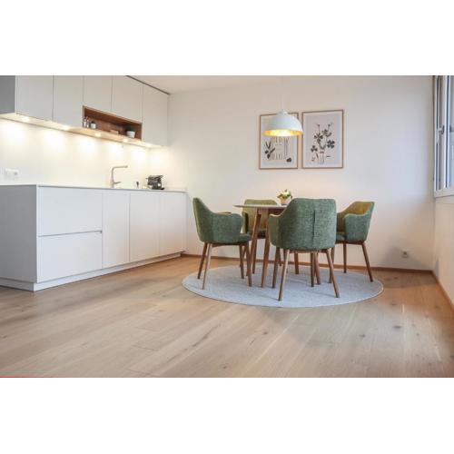 Säntisblick Apartment