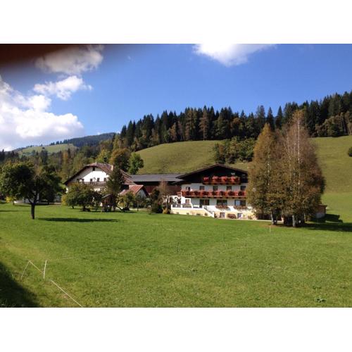 Scharfetthof