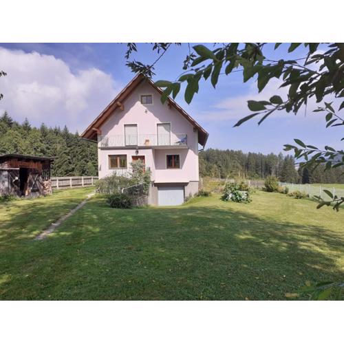 schöne Ferienwohnung