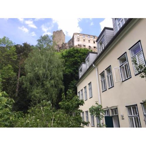 Schöne Wohnung im Helenental