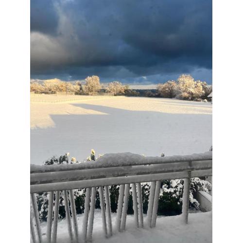 Seeblick Bodensee 6 Free parking Free internet