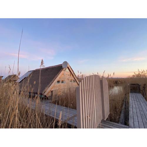 Seehütte Neusiedlersee - Pfahlbau Waterfront 1