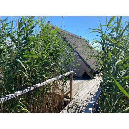 Seehütte Neusiedlersee - Waterfront 2