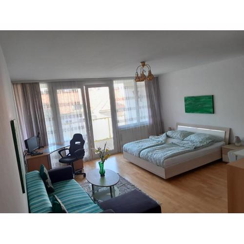 Serviced Apartment with Sunny Balcony