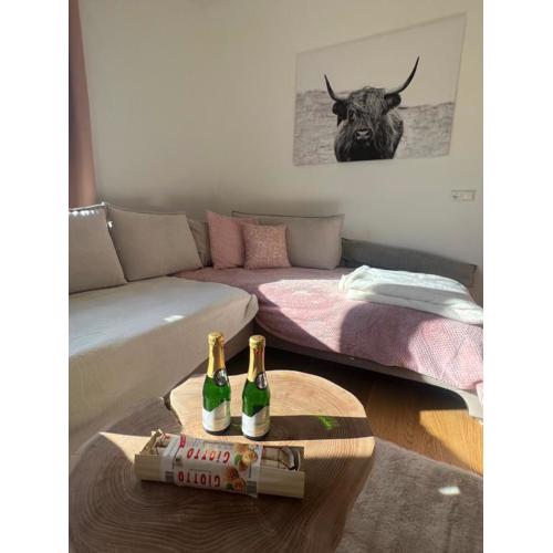 Silent City Apartments