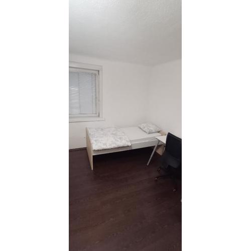 Single room in student apartment