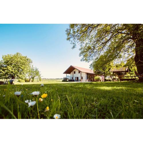 Sonnenblumenhof