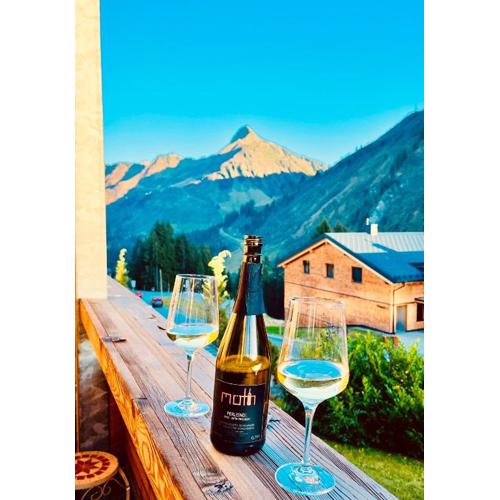 Sonniges Bergblick-Appartement