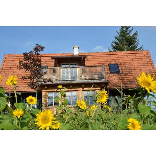 Sonniges Kellerstöckel im Schilcherland