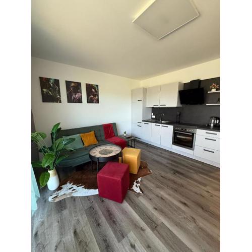 Sorinas Home WB16 Top 1