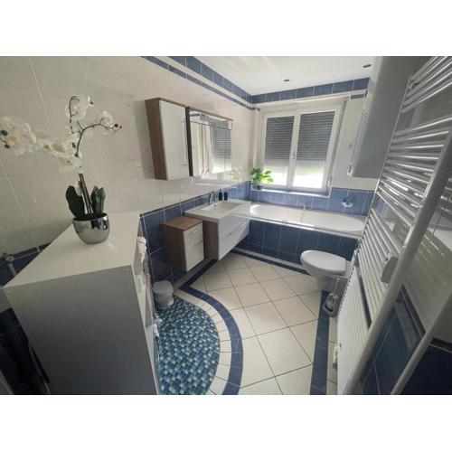 Sorinas Home WD5