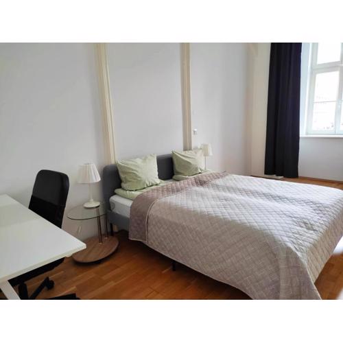 Spacious Austrian Style Apartment close to City Center Landstraße