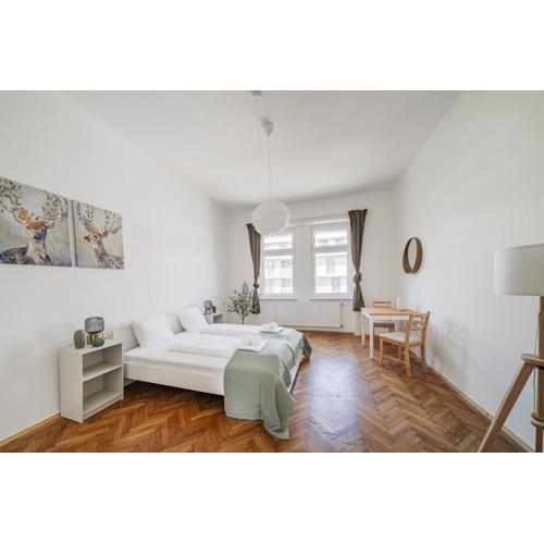 spacious studio in vienna