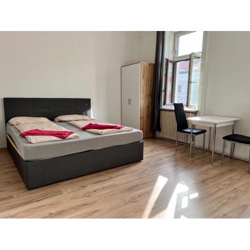 Spacious Vienna 4BR shared Stay for Friends & Families