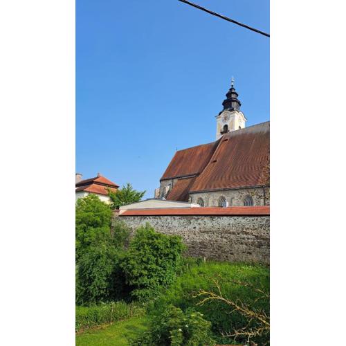 Spitzbart