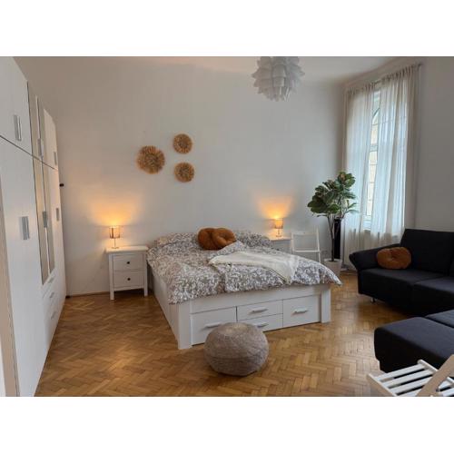 Stilvolles zentrales Apartment im schönsten Bezirk Wiens - free parking