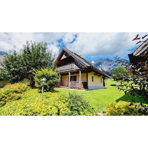 Stodertraum 3 "Löwenzahn" by Alpenidyll Apartments