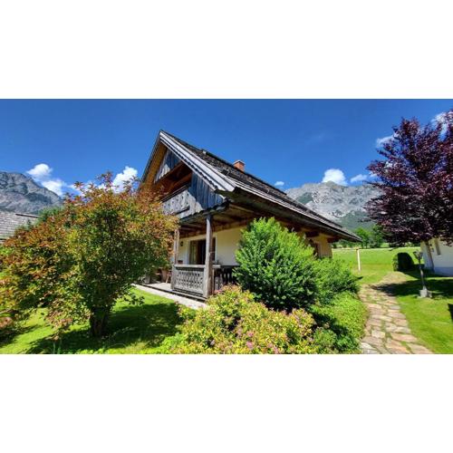 Stodertraum 4 "Margerite" by Alpenidyll Apartments