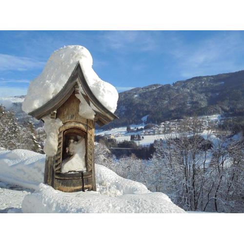 Stubai Apartment Telfes