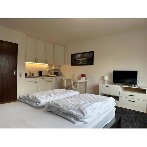 Studio Apartment near Linz Main Train Station