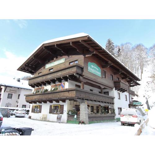 Studio in Saalbach near Ski Slopes