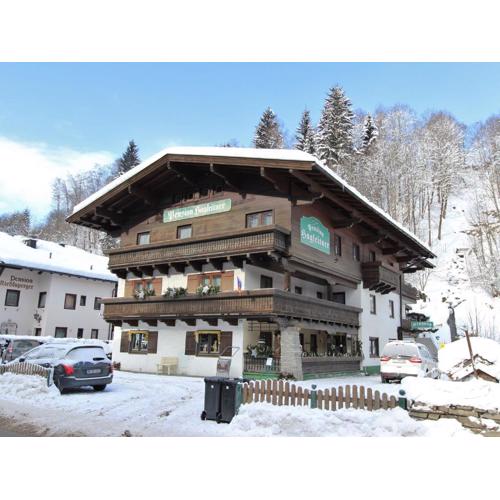 Studio in Saalbach near Ski Slopes