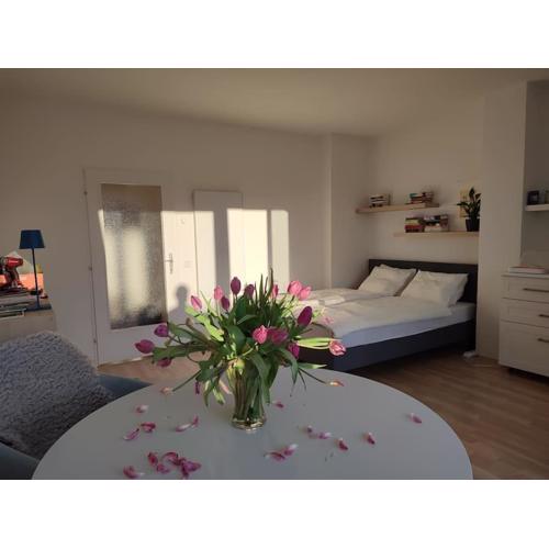 Studio mit Terrasse in zentraler Lage
