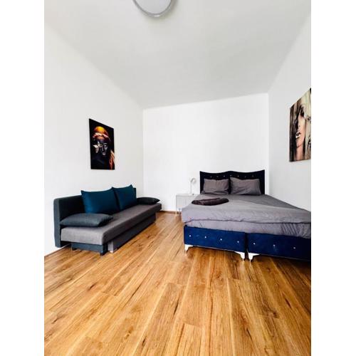 Stylih & Spacious Studio Close to Augarten Park