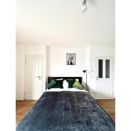 Stylish Apartments in Vienna entire Apartments