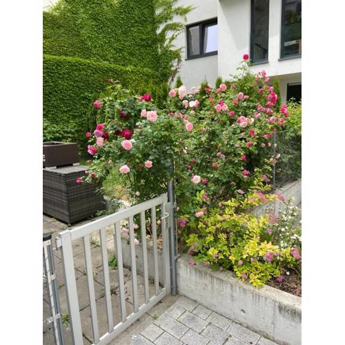 Sweet Home Vienna Townhouse