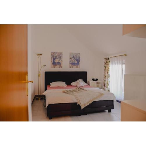 Terrace Apartment near Volksoper and City Centre