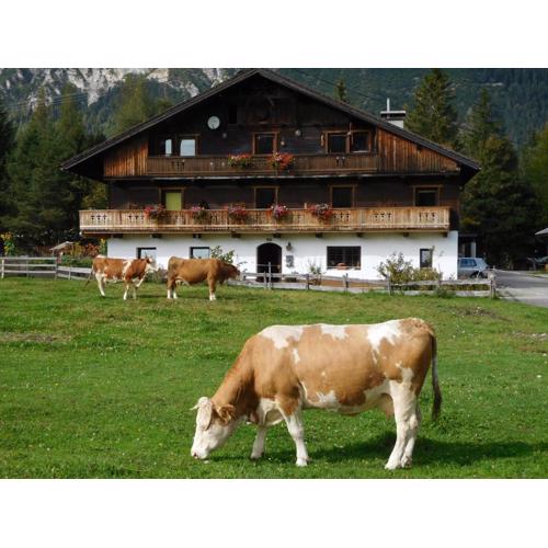 Thoamlhof