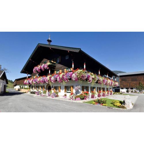 Thomanhof Chalet-Appartement