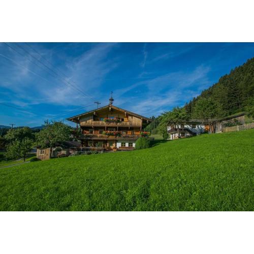 Tiroler Bauernhaus mit Panoramablick