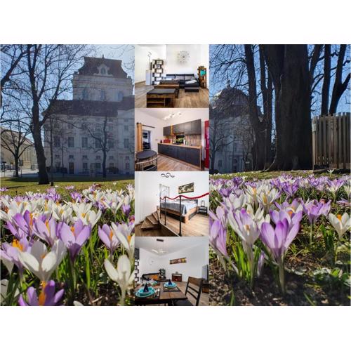 Top at Park, das luxuriöse Appartement mit Terrasse und Parkplatz im Herzen von Graz
